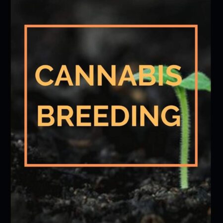 CANNABIS BREEDING: The Essential Guide To Cultivation And Propagation Of Cannabis